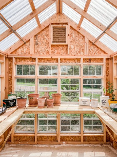 Pretty Little Greenhouse - Peaches to Pearls Beautiful Greenhouse, Diy Greenhouse Plans, Outdoor Greenhouse, Greenhouse Shed, Build A Greenhouse, Greenhouse Interiors, Happy Friday Friends, House Shed, Backyard Greenhouse