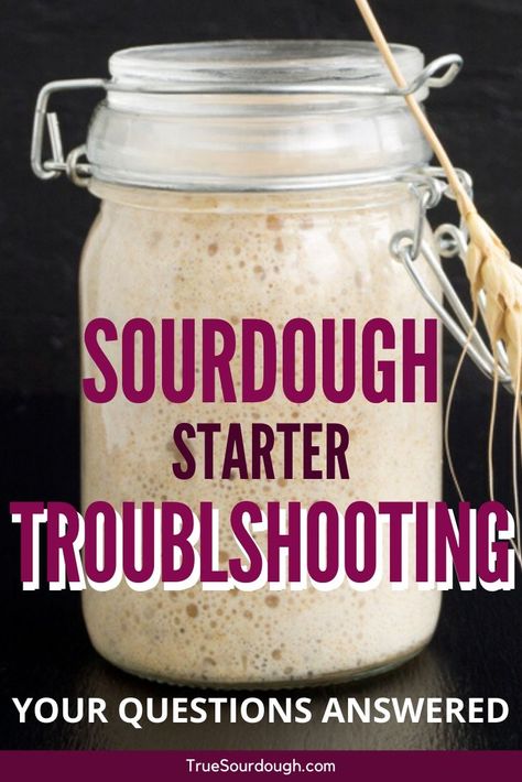 Starter Sourdough, Sourdough Starters, Sourdough Bread Starter, Dough Starter, Sourdough Starter Discard Recipe, Homemade Sourdough Bread, Bread Starter, Sourdough Starter Recipe, Sourdough Baking