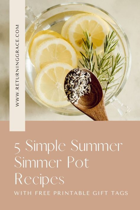 Freshen your home with these Summer simmer pot recipes! Natural scents made from everyday ingredients—perfect for gifts and easy to create! Clean Simmer Pot, Summer Simmer Pot Recipes House Smells, Summer Stovetop Potpourri, Summer Simmer Pot Recipes, Fall Simmering Pot Recipes, Summer Simmer Pot, Spring Simmer Pot, Stovetop Simmer, House Scents