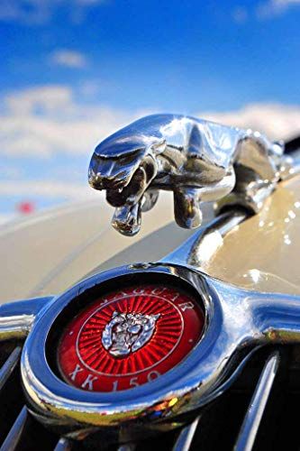 Jaguar Car Logo, Leaping Cat, Car Jaguar, Vintage Jaguar, Jaguar Tattoo, Car Hood Ornaments, Retro Auto, Unique Vehicles, Automotive Illustration