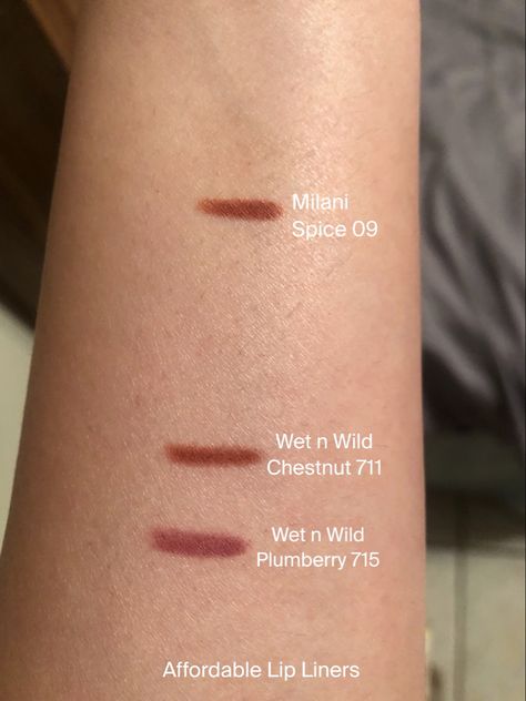 Nutmeg Lip Liner, Milani Lip Liner, Wet N Wild Lip Liner, Spice Lip Liner, Swollen Lips, Lip Liner Colors, Lip Liners, Wet And Wild, Lipstick Swatches