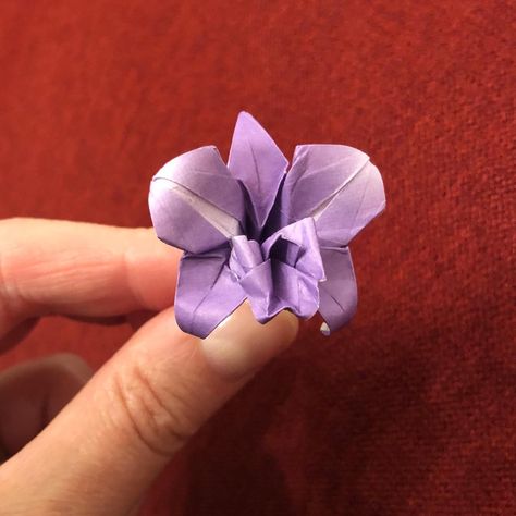 Lalalalala  and and another Orchid for Susie by Michale LaFosse. This time from 75 cm. It almost looks like a live size violet.   #origamitraces #origami #orchidforsusie #michaellafosse  #origamiusa #UnConvention #harmonypaper Floral Rings, Orchids, Origami, Violet, Flowers, Floral, On Instagram, Instagram