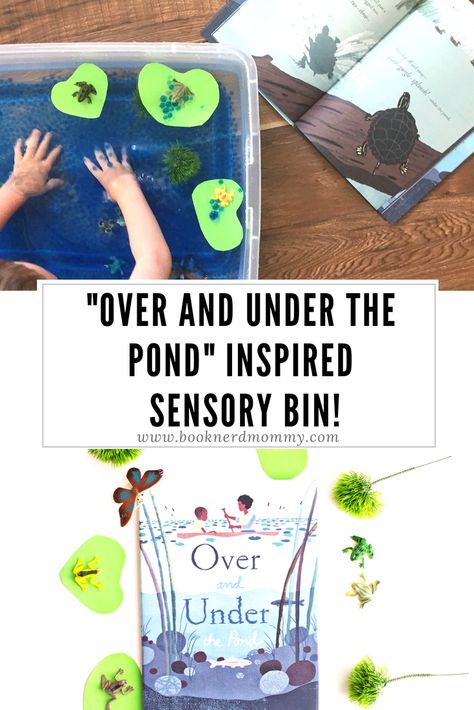 DIY pond sensory bin book activity inspired by "Over and Under the Pond". Great for teaching about ecosystems and compete with water beads and frogs! Pond Sensory Bin, Pond Sensory, Pond Life Theme, Kate Messner, Pond Habitat, Toddler Sensory Bins, Lake Theme, Diy Pond, Pond Life