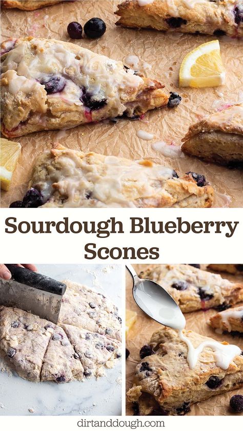 Delight your taste buds with these irresistible sourdough lemon blueberry scones! Made with a tangy sourdough starter, bursts of juicy blueberries, and a zesty lemon twist, these scones are the perfect balance of sweet and tart. A delightful treat for breakfast or afternoon tea. Bake a batch and elevate your baking game! Sourdough Discard Blueberry Scones, Sourdough Discard Recipes Scones, Sour Dough Discard Scones, Sourdough Blueberry Scones, Sourdough Scones Recipe, Sourdough Discard Blueberry, Scones Blueberry, Sourdough Lemon, Sourdough Scones