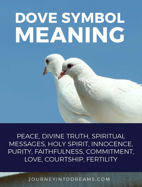 What does it mean to dream about doves? Learn about the spiritual symbolism of doves for peace, truth, and more. Turtle Dove Meaning, Dove Spiritual Meaning, Bird Meanings, Dove Symbolism, Fun Symbols, God Signs, Spiritual Animals, Animal Totem Spirit Guides, Dreams Meaning