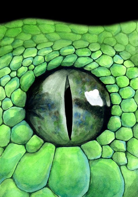 Snake eye print ;Realism painting; Watercolor art; Reptile lover; Reptile drawing; Picture of reptile; Snake picture; Snake image Pictures Of Reptiles, Reptile Eye, Snake Images, Snake Painting, Regard Animal, Arte Occulta, Snake Drawing, Drawing Course, Snake Art