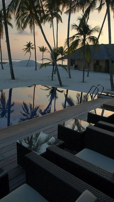 Maldives, Swimming Pool, Palm Trees, The Beach, Lounge, Trees, Swimming, Pool