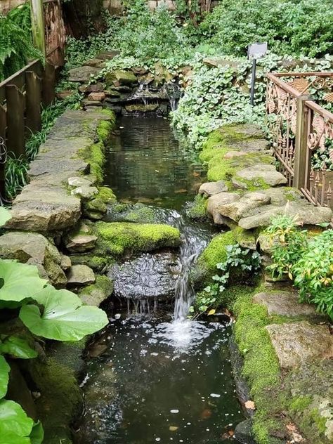 Carpet Ideas 2023, Ideas Garden Design, Carpet Ideas, Piscina Natural, Water Features In The Garden, Wedding Garden, Pretty Landscapes, Have Inspiration, Ponds Backyard