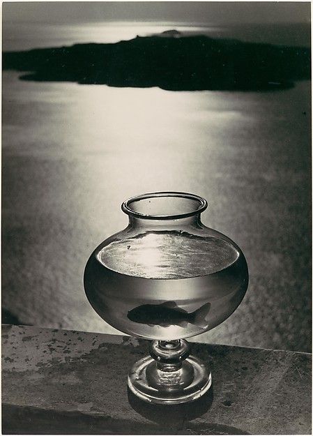 Goldfish Bowl, Santorini, Greece Herbert List (German, Hamburg 1903–1975 Munich) Date: 1937 Herbert List, Goldfish Bowl, High Museum, San Francisco Museums, Magnum Photos, Santorini Greece, Harper's Bazaar, Museum Of Fine Arts, Street Artists