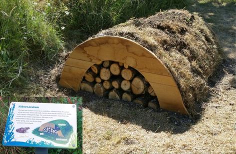 Newt Hibernaculum | Conservation & Access Regenerative Gardening, Wildlife Garden Design, Cottage Forest, Post And Rail Fence, Sustainable Homestead, Frog House, Habitat Garden, Owl Box, Hedgehog House