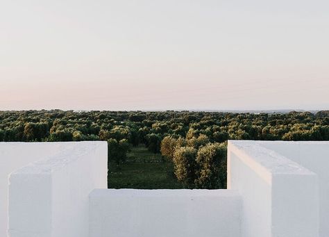 Masseria Moroseta | est living Andrew Trotter, Masseria Moroseta, Stone Farmhouse, Small Luxury Hotels, Rural Retreats, Italian Countryside, Puglia Italy, Small Hotel, Luxury Boutique Hotel