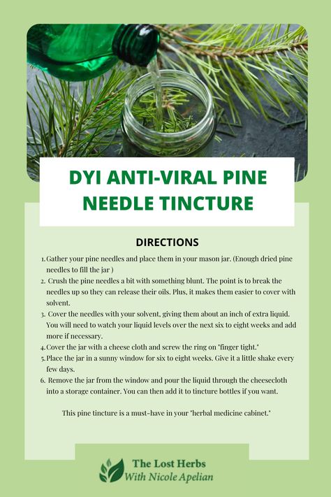 Not many people know, but some pine trees are poisonous or even highly toxic. However, if you use the right one, you will get this extremely powerful antiviral: Pine Needle Tincture Benefits, Pine Needle Oil Benefits, Pine Needle Tincture, Natural Antiviral, Sick Remedies, Slow Aging, Herbal Tinctures, Healing Remedies, Natural Healing Remedies