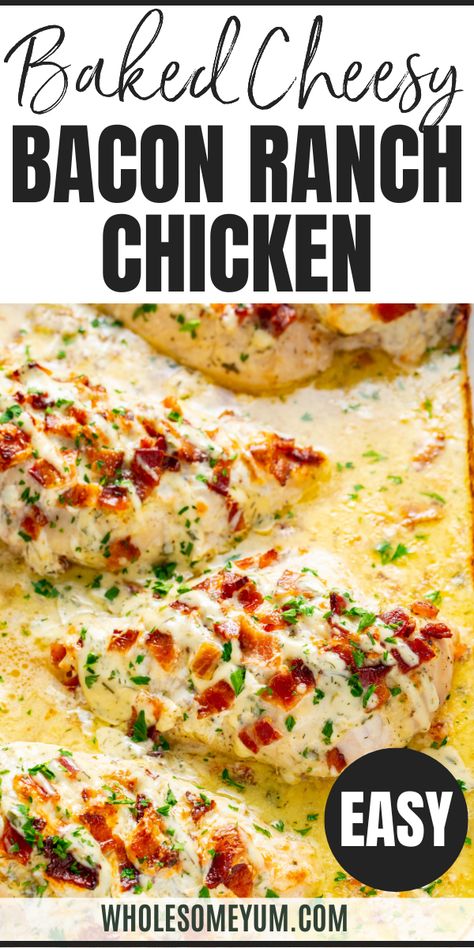 Ranch Chicken Recipe Lazy Baked Chicken, Ranch Flavored Chicken, Easy Chicken Oven Recipes, Low Ingredient Chicken Recipes, Creamy Ranch Chicken Recipes, Chicken Ranch Recipes, Baked Chicken Bacon Ranch, Basic Baked Chicken Breast, Oven Baked Chicken Recipes