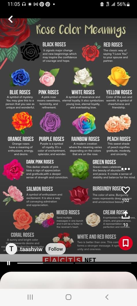 Flower Meanings Chart, Black Rose Meaning, Rose Flower Colors, Different Color Roses, Rose Color Meanings, Unclog Arteries, Rose Meaning, Blue Rose Tattoos, Red Rose Tattoo