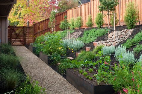 Landscaping on a slope - great solution for our falling terraces Steep Backyard, Sloped Backyard Landscaping, Landscaping A Slope, Landscaping On A Hill, Sloped Yard, Hillside Garden, Container Garden Design, Sloped Backyard, Hillside Landscaping