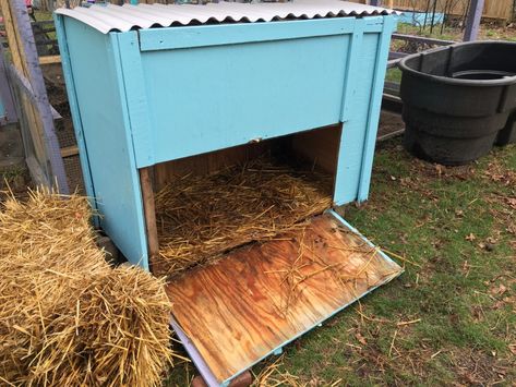 Duck House Ideas, Duck Habitat, Duck House Diy, Duck Enclosure, Duck House Plans, Duck Care, Duck Pen, Duck Pens, Backyard Ducks