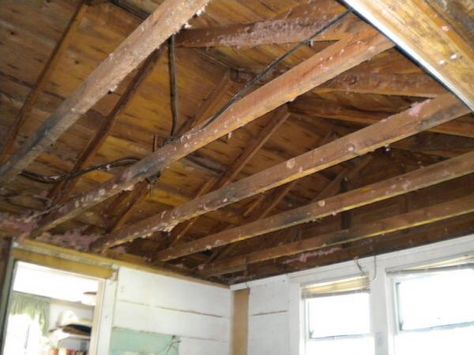 Opening Ceiling Into Attic, Open Attic Ceiling, Exposing Ceiling Joists, Open Ceiling Design Exposed Rafters, Open Ceiling Garage, Diy Cathedral Ceiling, Removing Ceiling To Expose Rafters, Remove Ceiling To Expose Rafters, Exposed Rafters Ceiling