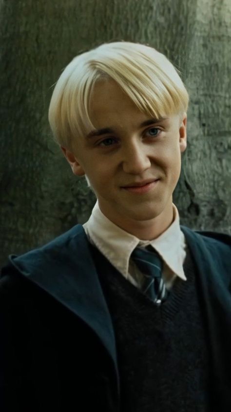 Drako Malfoy, Malfoy Family, Draco Malfoy Hot, Draco Malfoy Imagines, Harry Potter Painting, Draco Malfoy Aesthetic, Tom Felton Draco Malfoy, Draco Harry Potter, Harry Potter Draco Malfoy