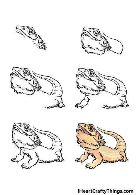 How To Draw A Bearded Dragon Easy, Bearded Dragon Line Art, Breaded Dragon Tattoo, Bearded Dragon Coloring Page, Bearded Dragon Drawing Easy, Bearded Dragon Illustration, Simple Bearded Dragon Drawing, How To Draw Bearded Dragon, Bearded Dragon Craft