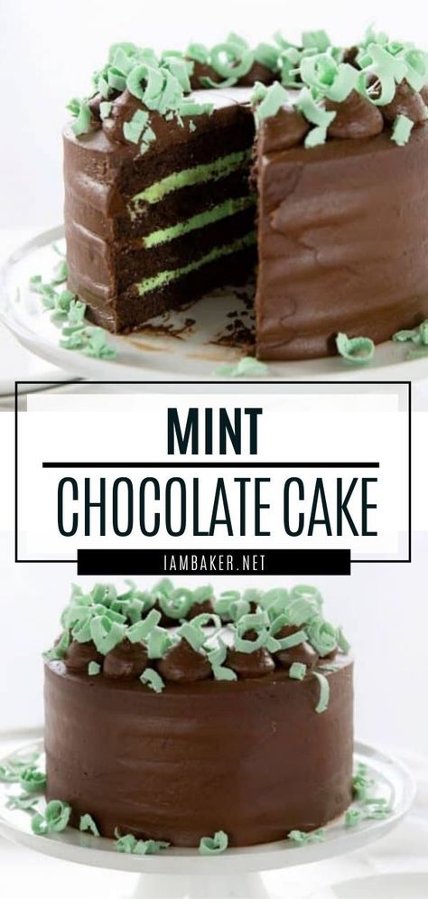 Chocolate Cake Video, Mint Buttercream, Dessert For A Crowd, Offset Spatula, Mint Chocolate Cake, Dessert Halloween, Hot Cake, Mint Cake, Dessert Parfait