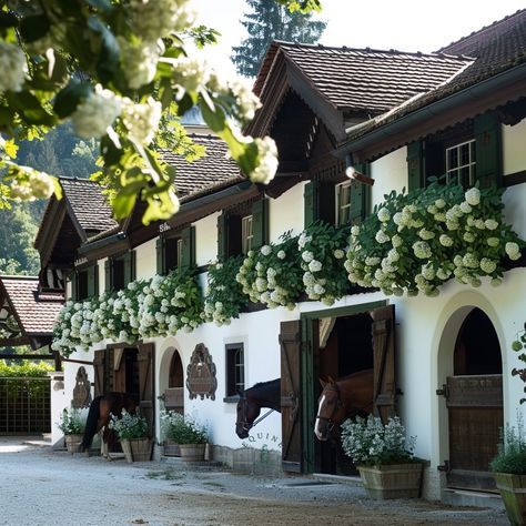 Swiss Interior Design, Equestrian Interior, Pine Decor, Luxury Horse Barns, Switzerland House, Equestrian Stables, Equestrian Barns, Stud Farm, Dream Horse Barns