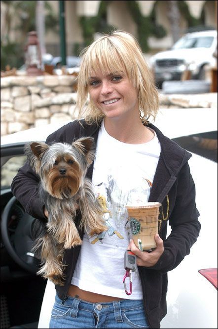 14 Yorkies That Have Famous Owners | PetPress Yorkie Art, Baby Yorkie, Taryn Manning, Yorkie Poodle, Yorkie Haircuts, Ian Harding, Yorkie Moms, Yorkie Terrier, Yorkie Lovers