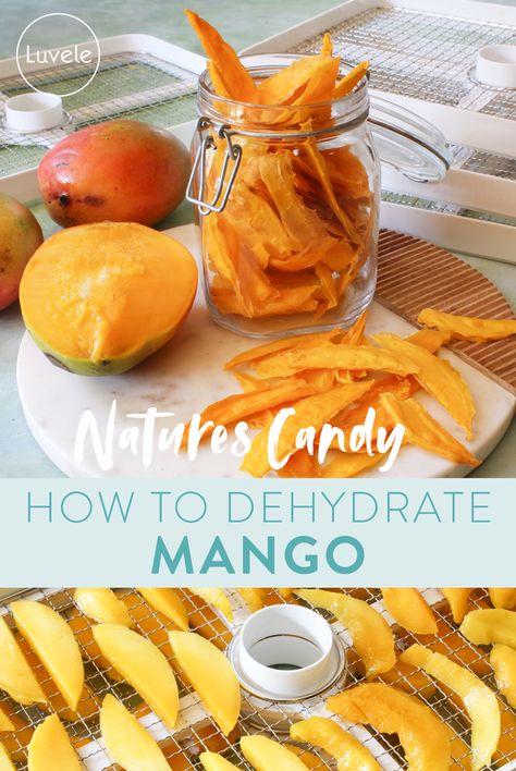 Dehydrate Lemons In Dehydrator, How To Dehydrate Mango, Dehydrated Mango In Dehydrator, Mango Dehydrator Recipes, Food Dehydrator Ideas, Dehydrate Mango, Dried Mango Recipe, Dehydrating Mango, Dehydrator Snacks