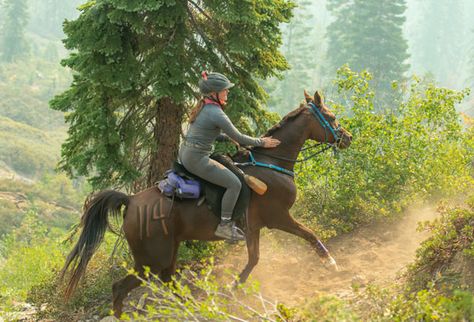 The Tevis Cup: A 100-Mile Endurance Ride Like No Other Endurance Horse Riding, Horse Disciplines, Endurance Horse, Endurance Riding, Horse Trail, Nevada Mountains, Two Horses, Horse Owner, Cup A