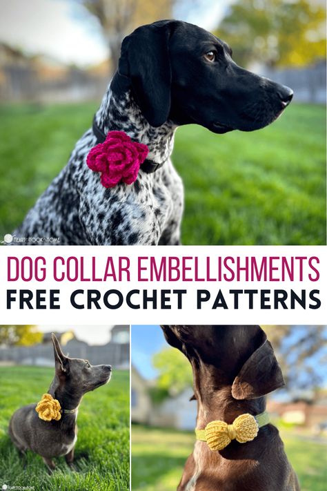 Do you crochet for your pet? Make a bow tie or a flower, then slide them right onto your dog's collar to take their adorable-ness up a notch. Crochet Dog Bow Tie, Crochet Dog Outfits Free Pattern, Crochet Dog Toys Free Pattern Easy, Crochet Dog Poop Bag Holder Free Pattern, Dog Accessories Crochet, Crochet Things For Dogs, Crochet Dog Costume Free Pattern, Crochet Dog Accessories Free Pattern, Dog Bandana Crochet Pattern