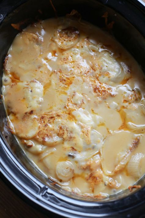 Slow Cooker Cheesy Scalloped Potatoes and Ham Ham In The Crockpot, Cheesy Scalloped Potatoes And Ham, Scalloped Potatoes Crockpot, Slow Cooker Scalloped Potatoes, Potatoes And Ham, Cheesy Scalloped Potatoes, Cooked Ham, Scalloped Potatoes And Ham, Crock Pot Potatoes