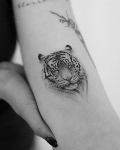 Tiger Tattoo Fine Line Tiger Tattoo, Small Tiger Tattoo, Tiger Tattoo Small, White Tiger Tattoo, Tiger Face Tattoo, Tiger Tattoo Sleeve, Tattoo Tiger, World Famous Tattoo Ink, M Tattoos