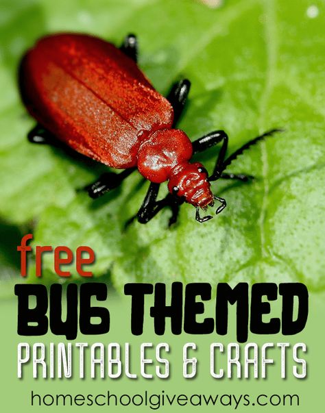 FREE Bug Themed Printables and Crafts Free Bug Printables, Dear America Books, Bug Printable, Preschool Bugs, Preschool Freebies, Dot Marker Printables, All About Me Printable, Bug Activities, Bugs Preschool