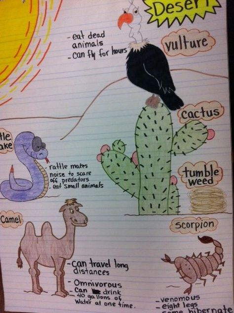 Habitat Anchor Chart, Glad Strategies, Desert Habitat, Desert Project, Desert Biome, Science Anchor Charts, Animal Adaptations, Reading Anchor Charts, Desert Animals