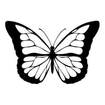 Butterfly Drawing, Black And White, White, Black, Color