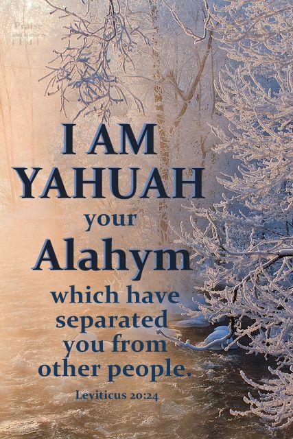 Yahuah Quotes, Yahuah Wallpaper, Hebrew Language Words, Sabbath Quotes, Bible Words Images, Hebrew Language, Bible Study Lessons, Spiritual Messages, Bible Facts