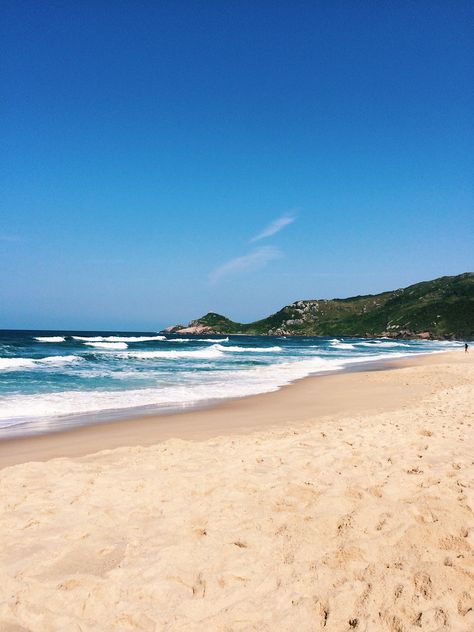 Mole, Water, Santa Catarina