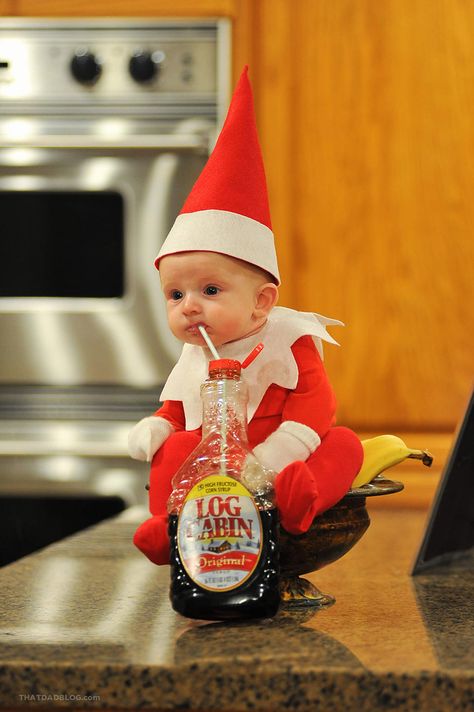 Utah's dad-of-six Alan Lawrence decided to take the famous Elf on the Shelf Christmas tradition to the next level by turning his own 4-month-old baby boy Rockwell into the cutest elf ever. He made up a whole story about his own little elf and started documenting his mischievous adventures on his That Dad Blog. Lawrence’s wife helped him by making Rockwell’s costume. Funny Christmas Photos, Christmas Baby Pictures, Baby Elf, Baby Christmas Photos, Family Christmas Pictures, Christmas Photography, Holiday Pictures, Polly Pocket, Baby Costumes