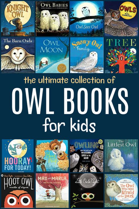 Owl Books Preschool, Owl Theme Preschool Activities, Owl Activities For Kindergarten, Owls Preschool Activities, Owl Sensory Bin, Preschool Nocturnal Animals Activities, Owl Activity For Kids, Preschool Owl Crafts, Owl Activities For Preschool