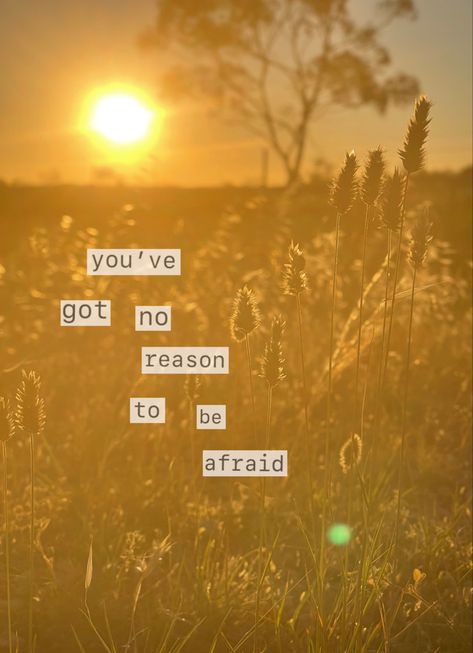 You’ve Got No Reason To Be Afraid Taylor Swift, You’re On Your Own Kid Taylor Swift Wallpaper, Taylor Swift Art, Midnights Taylor Swift, Midnights Taylor, Taylor Swift Tattoo, Swift Wallpaper, Swift Lyrics, All About Taylor Swift