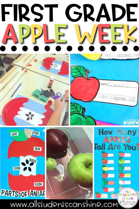 Looking for some great activities you can do during a first grade apple week? In this blog post, I share some of my favorite apple activities for first grade like apple crafts, an apple bulletin board, and labeling parts of an apple! Apple Day Classroom Transformation, Apple Stem Activities First Grade, Apple First Grade, Apple Lesson Plans For 1st Grade, September First Grade Activities, Apples By Gail Gibbons Activities, Johnny Appleseed Day First Grade, Apple Day Activities First Grade, Apple Crafts First Grade