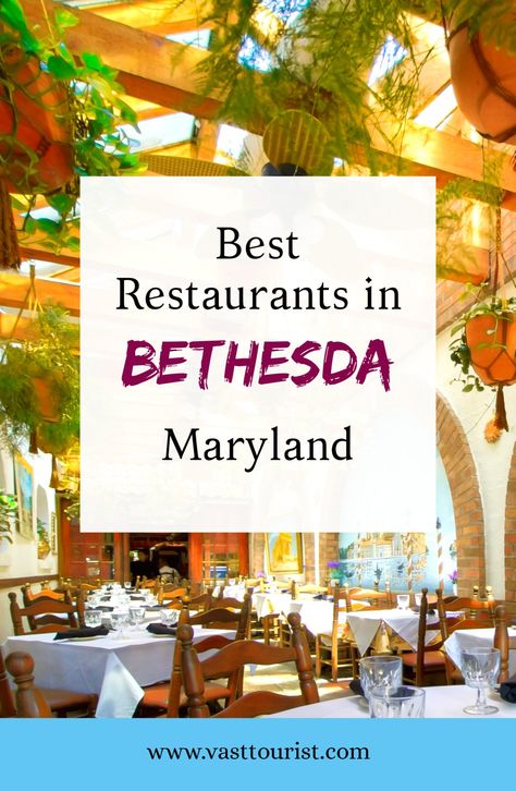 Restaurants in Bethesda Maryland 
Best places to eat in Bethesda Maryland 
Foods in Bethesda 
Top restaurants in Maryland Visit Maryland, Original Pancake House, Restaurants For Birthdays, Montgomery County Maryland, Potomac Maryland, Bethesda Maryland, Best Chips, Best Seafood Restaurant, Happy Hour Drinks