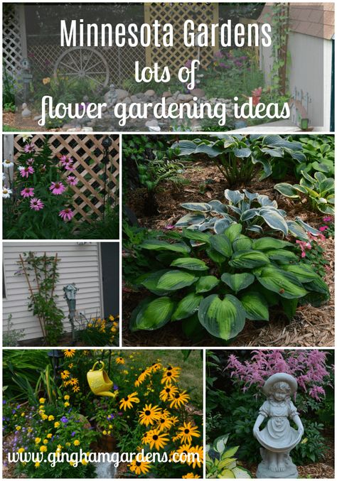 Saying Good-Bye To My First Minnesota Gardens - Gingham Gardens Zone 4 Flower Garden, Zone 4 Gardening Landscaping, Minnesota Flower Garden Ideas, Zone 4 Shade Garden, Zone 4 Landscaping Front Yards, Zone 4 Landscaping Ideas, Zone 4 Perennial Garden Layout, Zone 4 Landscaping, Zone 4 Gardening