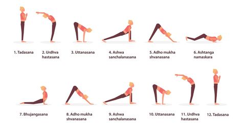 Yoga: la salutation au Soleil: 10 minutes pour être bien Photo Yoga, Muscle Abdominal, Surya Namaskar, Camel Pose, Cobra Pose, Arm Muscles, Improve Cognitive Function, Yoga Facial, Naturopathy