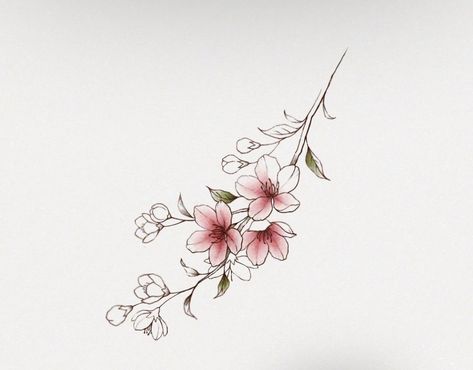 Cherry Blossom Tattoo On Hand, Plum Blossom Tattoo Black And White, Cherry Blossom Petals Tattoo, Cherry Blossom Tattoo Black And White, Sakura Flower Tattoo Design, Fine Line Cherry Blossom Tattoo, Sakura Tattoo Design, Sakura Flower Tattoo, Tattoos Cherry Blossom