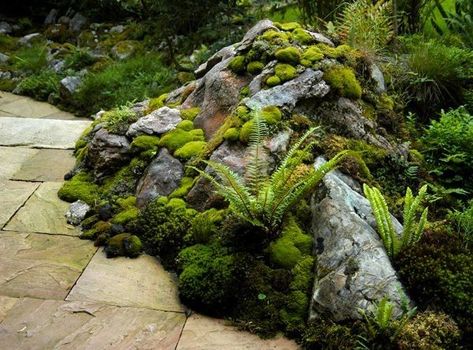 Polystichum Munitum, Amida Buddha, Moss Temple, Rockery Garden, Ferns Garden, Japan Garden, Japanese Garden Design, Areas Verdes, Garden Entrance