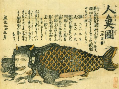 Mermaid Sketch, Mermaid Illustration, Japanese Monster, Japanese Mythology, Art Appliqué, Japanese Folklore, Japanese Illustration, Art Ancien, Mermaids And Mermen