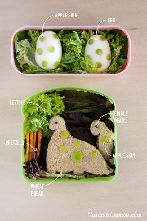 Dinosaurs Pictures, Lunch Box School, Fun Kid Lunch, Bento Box Lunch For Kids, Kids Packed Lunch, Bento Kids, Preschool Lunch, Food Art For Kids, Toddler Lunches