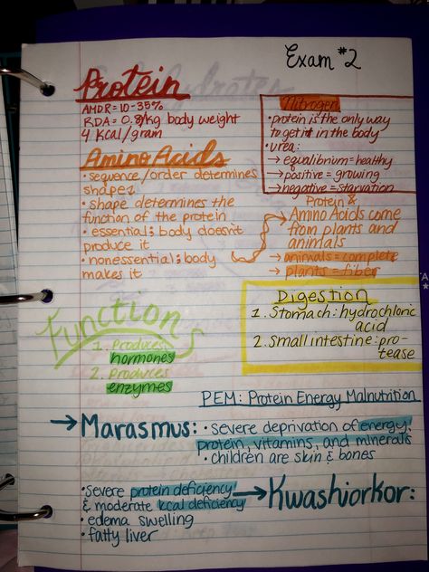 food science human nutrition #college #notes #schoolnotes Nutritional Biochemistry Notes, Nutritionist Study Notes, Nutrition Notes College, Human Nutrition Notes, Food Tech Gcse Revision Notes, Nutrition Notes Nursing, Nutrition Student Notes, Food Tech Revision Notes, Dietetics Student Notes