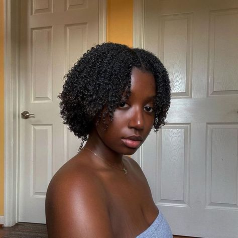 Hair Color Streaks, Quick Natural Hair Styles, Protective Hairstyles Braids, Natural Hair Beauty, Natural Curls Hairstyles, Curly Girl Hairstyles, Natural Hair Tips, 4c Hairstyles, Hair Inspo Color