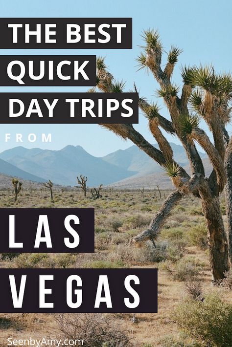 11 Of The Most Exciting Quick Day Trips From Las Vegas Travel Las Vegas, Day Trips From Las Vegas, No Drinking, Las Vegas Travel Guide, Vegas Travel, Vegas Fun, Las Vegas Vacation, Nevada Travel, Best Weekend Getaways